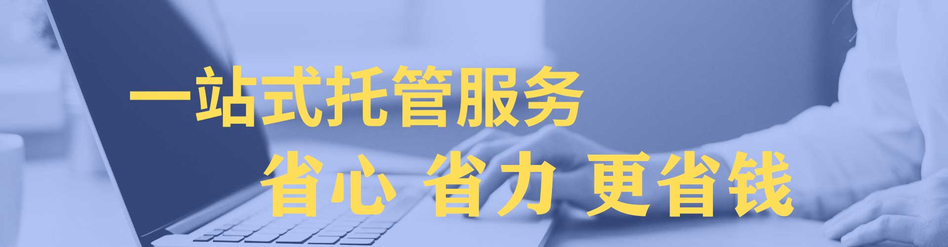 金阳竞价开户